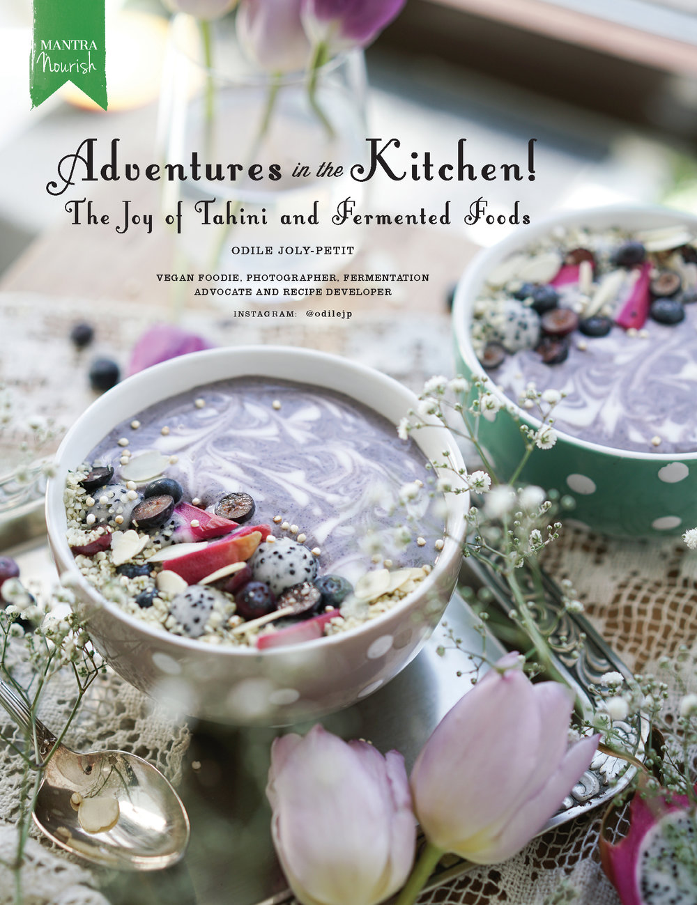 Odile Joly-Petit 1 - Mantra 17.jpg