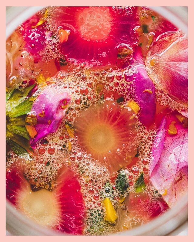 La joie des sodas maison qui p&eacute;tillent naturellement!✨ . . .
Apr&egrave;s avoir touch&eacute; au kombucha, au kefir d'eau et au tepache dans les derni&egrave;res ann&eacute;es, j'experimente depuis quelques temps avec les sodas maison, en m'inspirant de ce qui est en saison🍓
On peut en faire assez facilement, avec simplement fruits frais, sucre et eau, mais j'ai pr&eacute;f&eacute;r&eacute; d&eacute;velopper un gingerbug (aussi appel&eacute; levain de gingembre ou bibitte &agrave; gingembre) afin d'acc&eacute;l&eacute;rer le processus. C'est assez facile &agrave; cr&eacute;er (faites une recherche rapide sur Google, vous trouverez toutes les infos) et j'ai opt&eacute; pour un m&eacute;lange gingembre &amp; curcuma afin d'activer le mien (derni&egrave;re photo). J'en ajoute m&ecirc;me une ou deux cuill&egrave;res &agrave; mon tepache depuis! 📸 soda fraise &amp; p&eacute;tales de rose, soda rhubarbe &amp; rose, gingerbug gingembre &amp; curcuma. C'est une belle fa&ccedil;on d'utiliser les fruits trop m&ucirc;rs ou en trop grandes quantit&eacute;s. Pour mon soda &agrave; la fraise, j'ai litt&eacute;ralement utilis&eacute; que les queues de fraises, r&eacute;servant les fraises pour une compote. Et les p&eacute;tales de roses viennent du rosier de ma cours qui &eacute;taient tomb&eacute;es avec le vent!
#zerodechet #nowaste #gingerbug #fermentation #homemadesoda #sodamaison #naturallysparkling #fraise #zerowaste #rhubarb #seasonalfood #mangerlocal