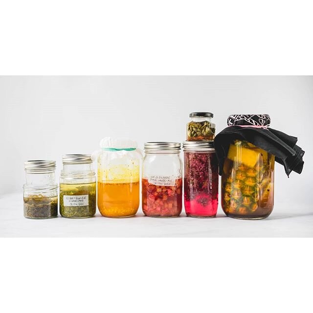Fermenter tout et rien par plaisir, mais surtout pour se faire du bien à l'âme💛
𝔻𝕖 𝕘𝕒𝕦𝕔𝕙𝕖 à 𝕕𝕣𝕠𝕚𝕥𝕖 :
Ciboulette lactofermentée;
Pesto lactofermenté d'ail jeune & fleurs d'ail ;
Ginger bug gingembre & curcuma;
Shrub rhubarbe, fraise & vanille; Boutons de ciboulette lactofermentés; Fleurs de ciboulette infusées dans le vinaigre de cidre de pomme;
Tepache (avec gingembre et curcuma)
PS : petit rappel qu'il est encore possible de s'inscrire à mon 𝗮𝘁𝗲𝗹𝗶𝗲𝗿 𝘃𝗶𝗿𝘁𝘂𝗲𝗹 𝘀𝘂𝗿 𝗹𝗲 𝗸𝗶𝗺𝗰𝗵𝗶, en partenariat avec @epicerieloco! Le premier de plusieurs autres j'espère, où je pourrai vous partager mon amour des fermentations! Rdv sur le site web de LOCO pour s'inscrire✌🏼 #fermentation #shrubs #tepache #lactofermentation #preservingfood #springseason #kimchi #chives #garlicscapes
