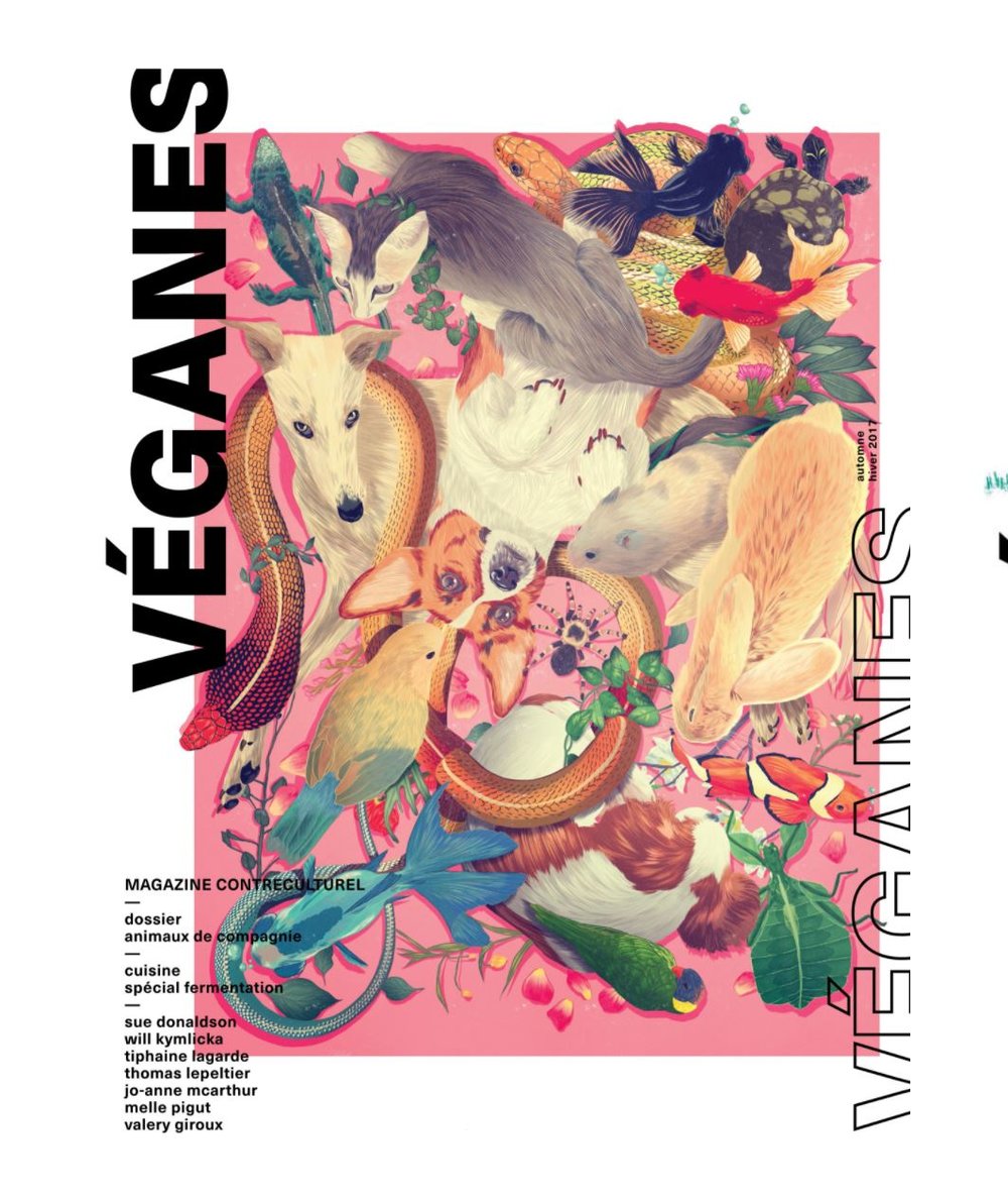 vegane magazine.JPG